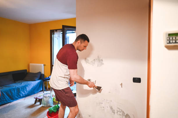 Best Commercial Mold Removal  in Midlothian, TX